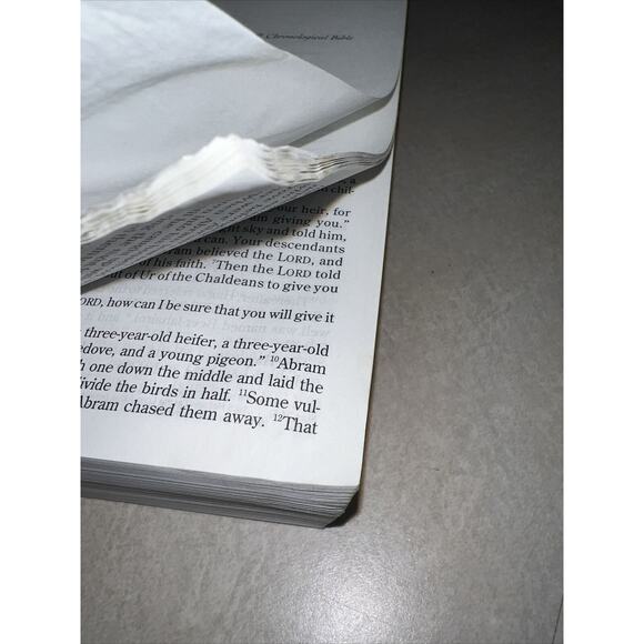 The One Year Chronological Bible NLT Paperback Tyndale New Living Translation - Picture 4 of 15